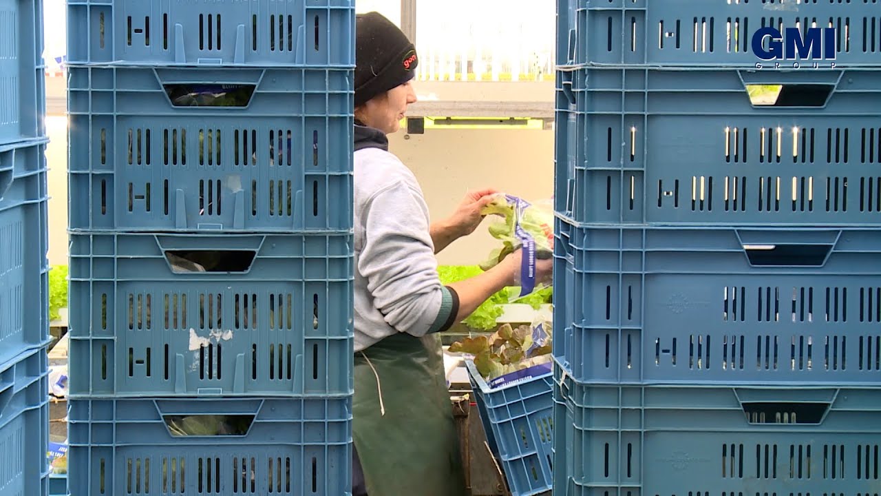 Klantenvideo - Hortiplan (NL)