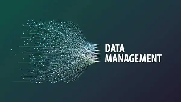 Afbeelding Blog Data management