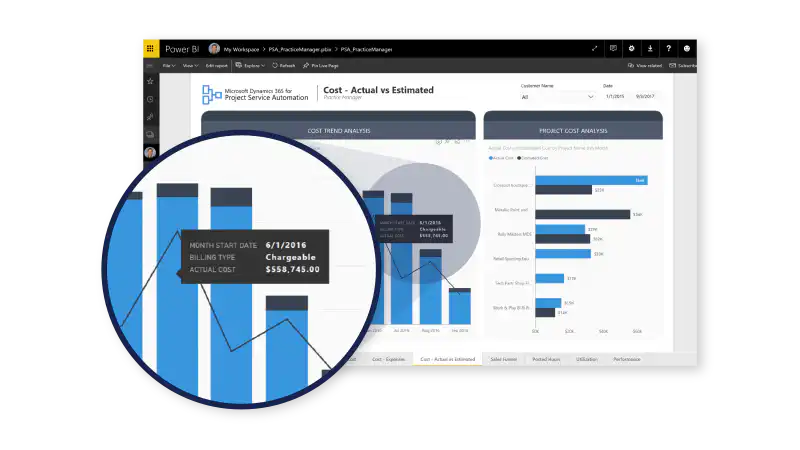 Net IT CRM blog: projectmanagement Microsoft Dynamics 365 voor Project Service Automation - screenshot analytics