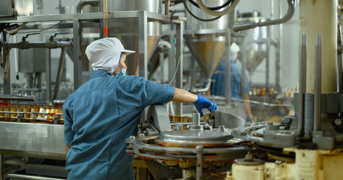 Factory employee wearing protective clothes managing canning process in factory.